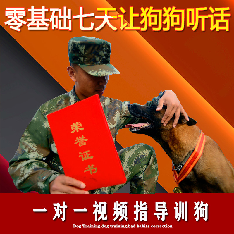 训狗教程训练狗上厕所一对一视频指导幼犬尿垫定点大小便宠物用品