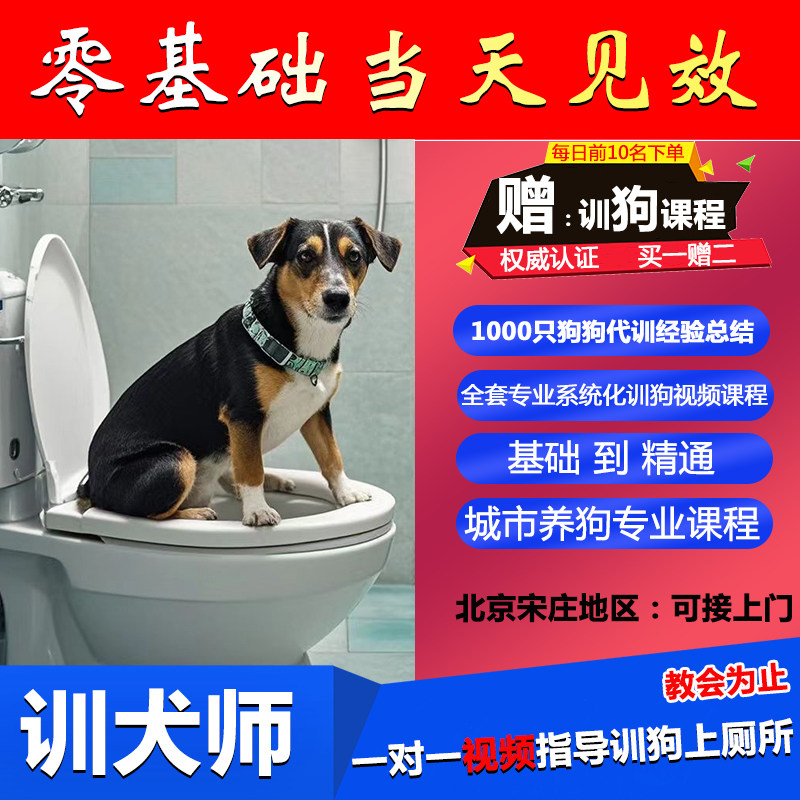 训犬师一对一视频指导训练幼犬定点排便拆家咬人翻垃圾桶训狗教程
