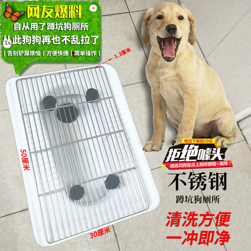 网架蹲坑狗厕所一冲既净易清洗
