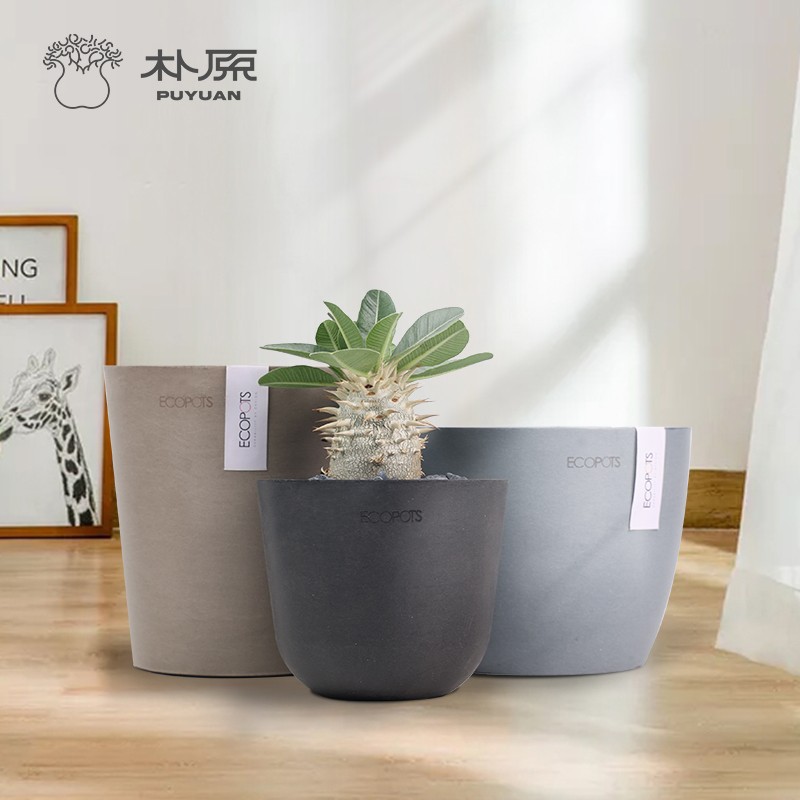 潮流园艺块根花盆圆方盆实用精美图片