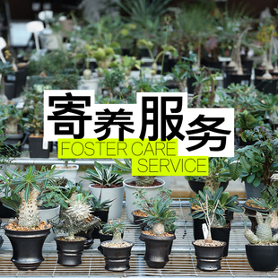 朴原｜2025-26冬日寄养协议(非免费)拍下即同意协议 发货后不退款