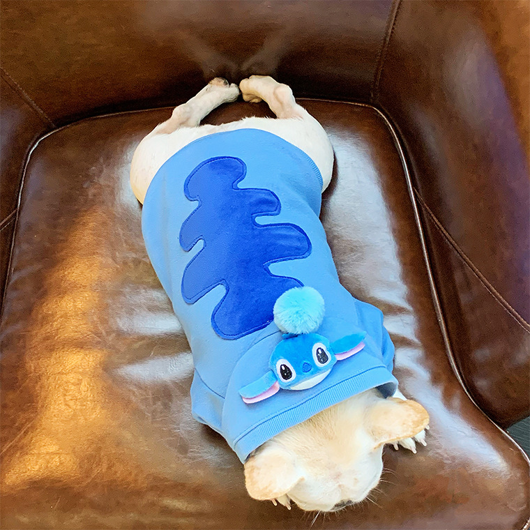 可爱蓝中小型犬猫狗衣服时尚比熊泰迪法斗猫狗衣服休闲加绒弹力