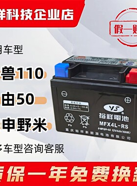 锂电池幼兽110自由50凯越321RR