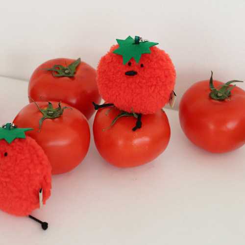 韩国正品hozumi 番茄毛绒玩偶礼物钥匙链手提包装饰挂件ins风吊饰