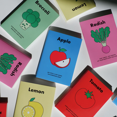 韩国正品fruitfries口袋农场B6网格笔记手账本格子记事/PVC封面套