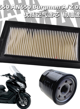 适用铃木天浪650AN650 Burgman A/Z02-18机滤芯空滤芯 空气滤滤器