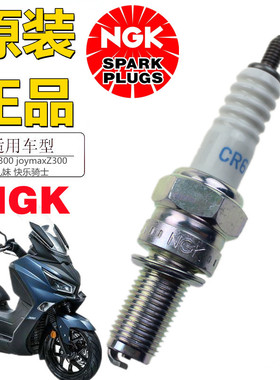 三阳cruisym 巡弋300 joymaxZ300 TL500九妹 快乐骑士火花塞配件