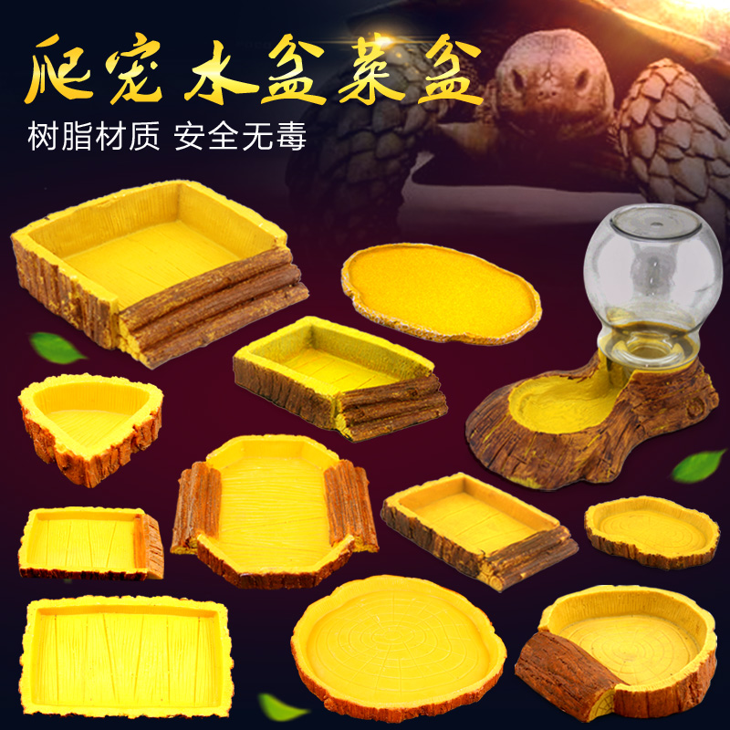 陆龟爬虫食盆大小守宫蜘蛛角蛙