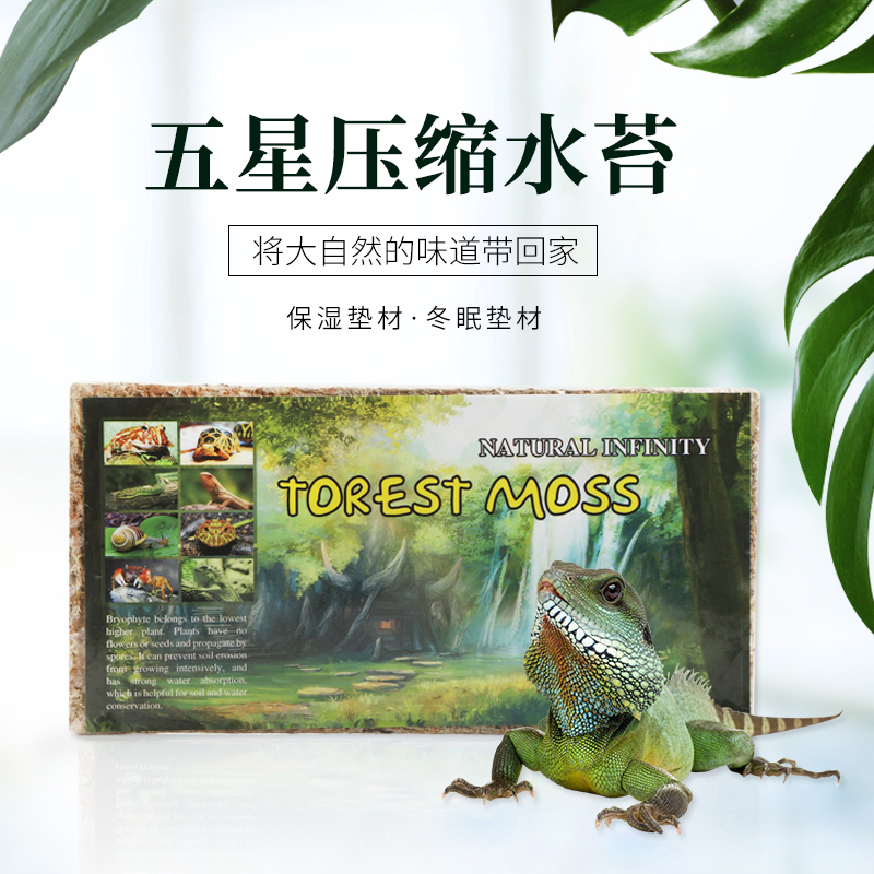 爬虫乌龟过冬垫材爬宠物蛇角蛙水苔藓保湿蜥蜴守宫进口5A冬眠底材