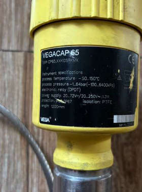 VEGACAP65， VEGA威格雷达电容液位计，：CP议价