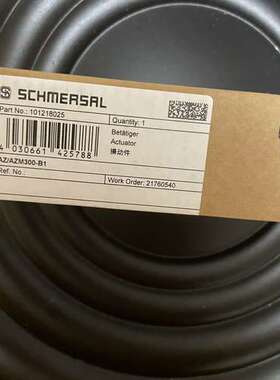 (议价)AZAZM300-B1101218025  施