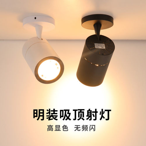 明装射灯单头吸顶式射灯可调角度