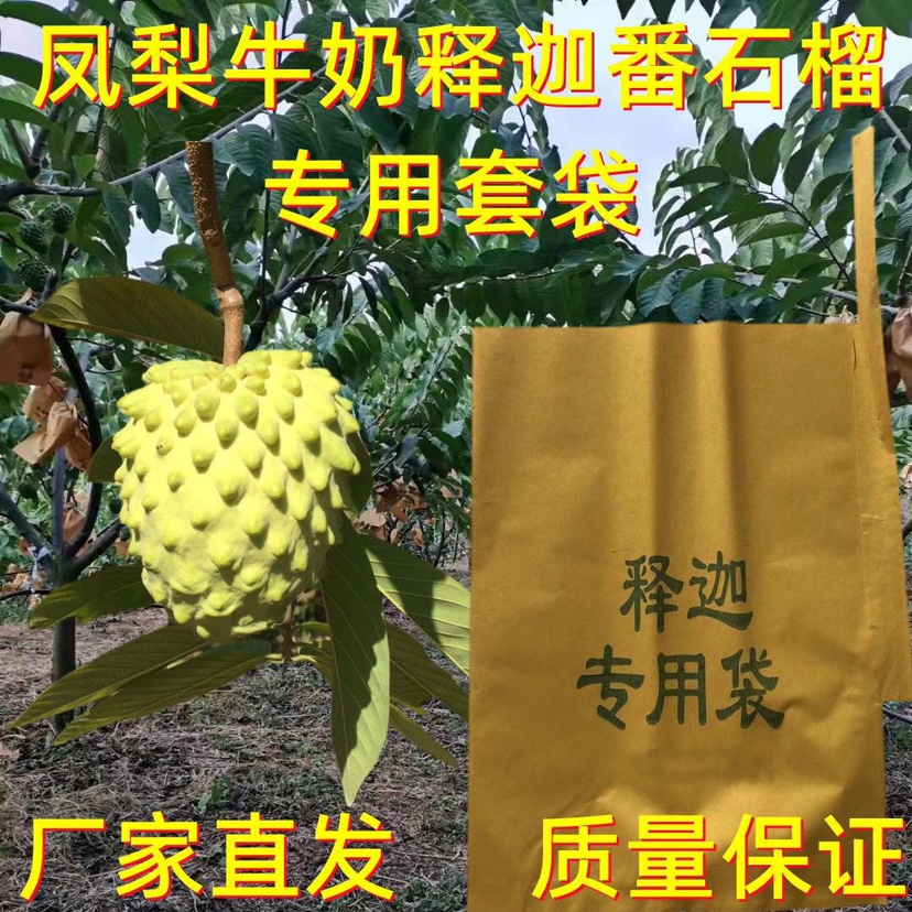 释迦套袋防虫袋石榴葡萄莲雾纸袋防水防晒果袋子包果袋防鸟保护袋