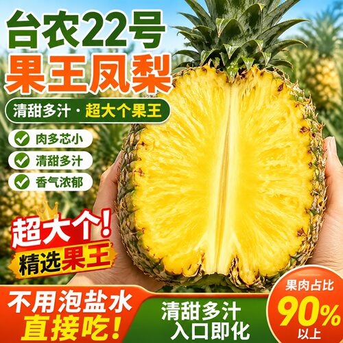 徐闻凤梨特大果王新鲜热带水果