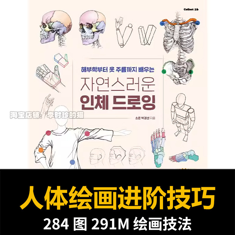 艺用解剖学人体绘画技法基础比例结构肌肉骨骼素描速写美术素材图