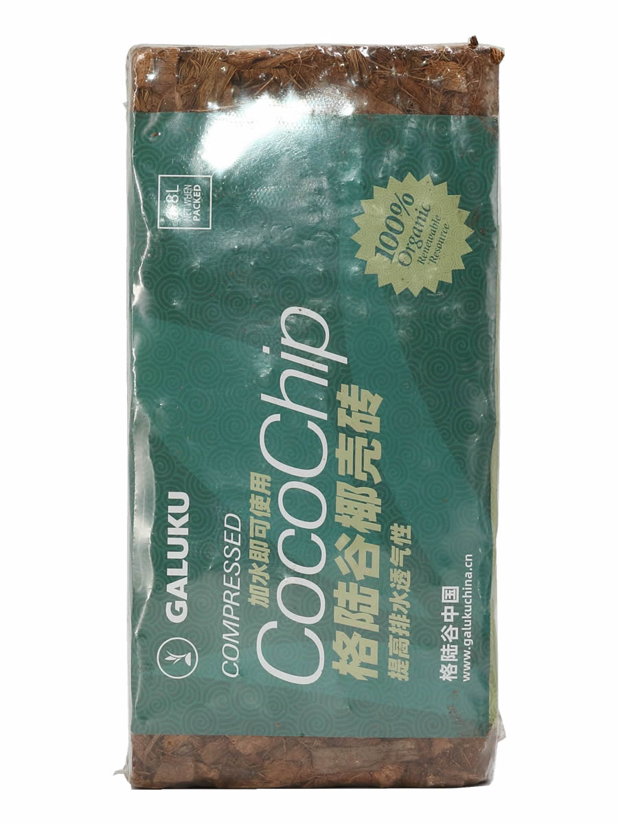 格陆谷粗椰壳砖透水白龟花烛月季