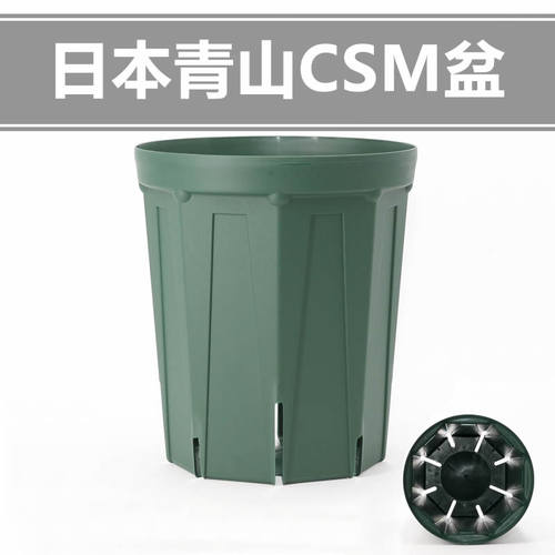铁线莲日本进口透气透水青山盆