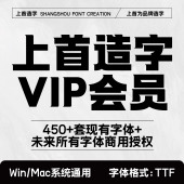 企业VIP全字库授权