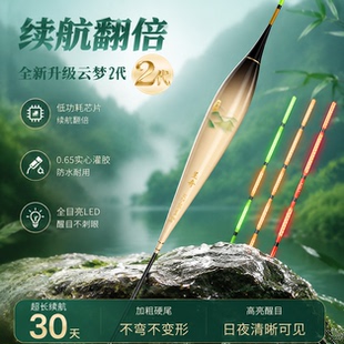 呈舟云梦泽二代浮漂全目防眩目OLED灌胶尾日夜两用高灵敏夜光漂