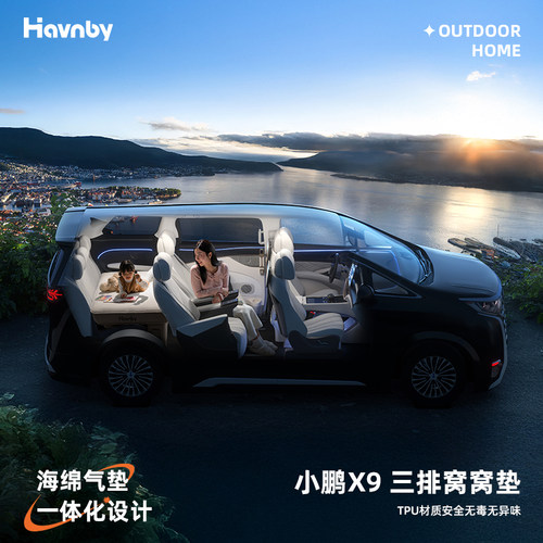 Havnby安温白小鹏X9三排窝窝垫