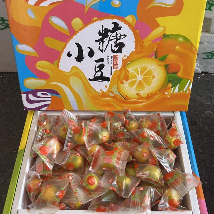 广西融安脆蜜金柑小糖豆金桔甜蜜小糖豆无籽纯甜嘉兴水果市场尝鲜