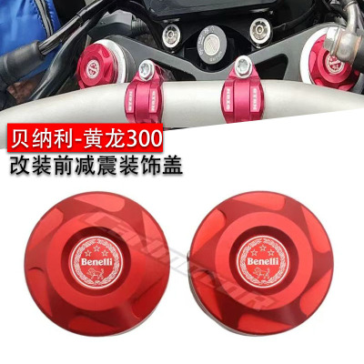 适用蓝宝龙302S黄龙300减震盖