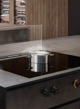 GAGGENAU嘉格纳油烟机AL200190/80德国进口升降式智能吸抽油烟机