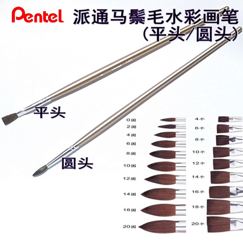日本派通 pentel ZBS1-ZBS2进口马毛圆头平头水彩画笔水粉画笔姜思序堂