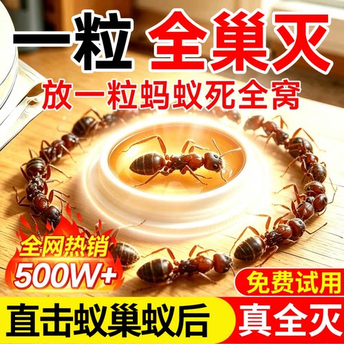 传播式灭蚁特研饵剂丨热销100W+
