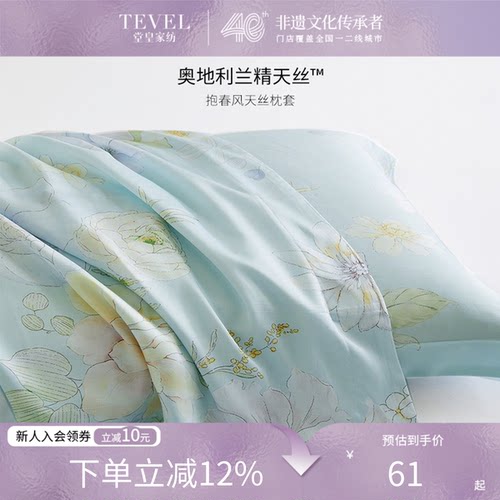 堂皇家纺兰精天丝枕套