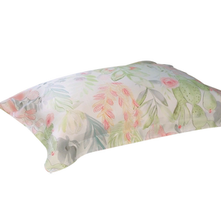 TEVEL/堂皇60支兰精天丝枕套一对家用枕头套单双人夏季