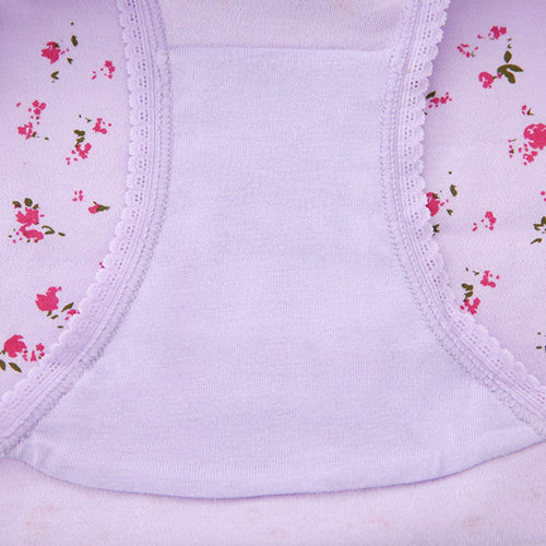 Slip Moyen-âge simple en coton - Ref 646664 Image 3