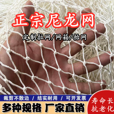 白色尼龙网定制拖网拉网清塘网抬网养殖网箱养鱼箱隔离渔网网片