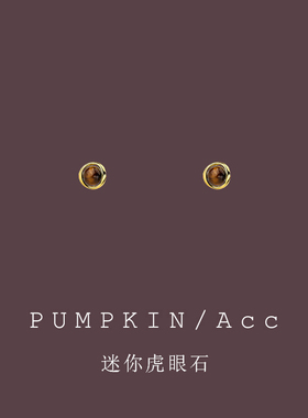 【南瓜先生】美拉德风虎眼石耳饰