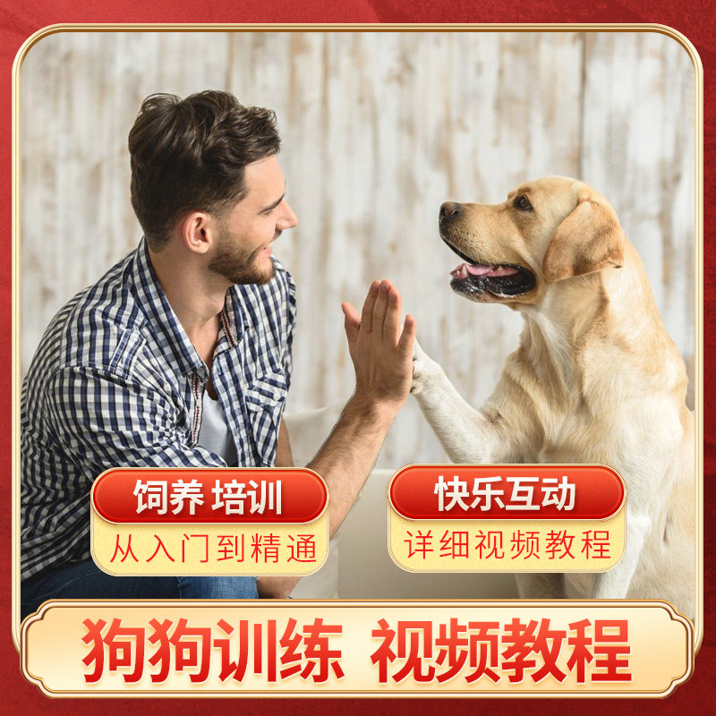 狗狗训练视频教程电子版训狗饲养护理日常训练自学系统培训视频