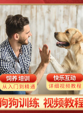 狗狗训练视频教程电子版训狗饲养护理日常训练自学系统培训视频