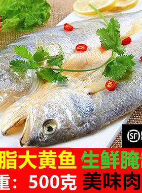 石浦海鲜大黄鱼脱脂大黄花鱼500克/条象山港腌制清蒸醇香 2条起发