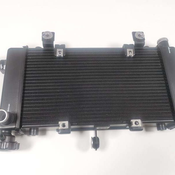 隆鑫无极机车LX500R AC散热器水箱总成风扇器摩托车配件热卖