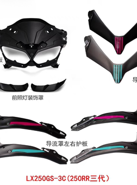 隆鑫无极250RR faee版导流罩左右护板背板三代前照灯装饰罩热卖
