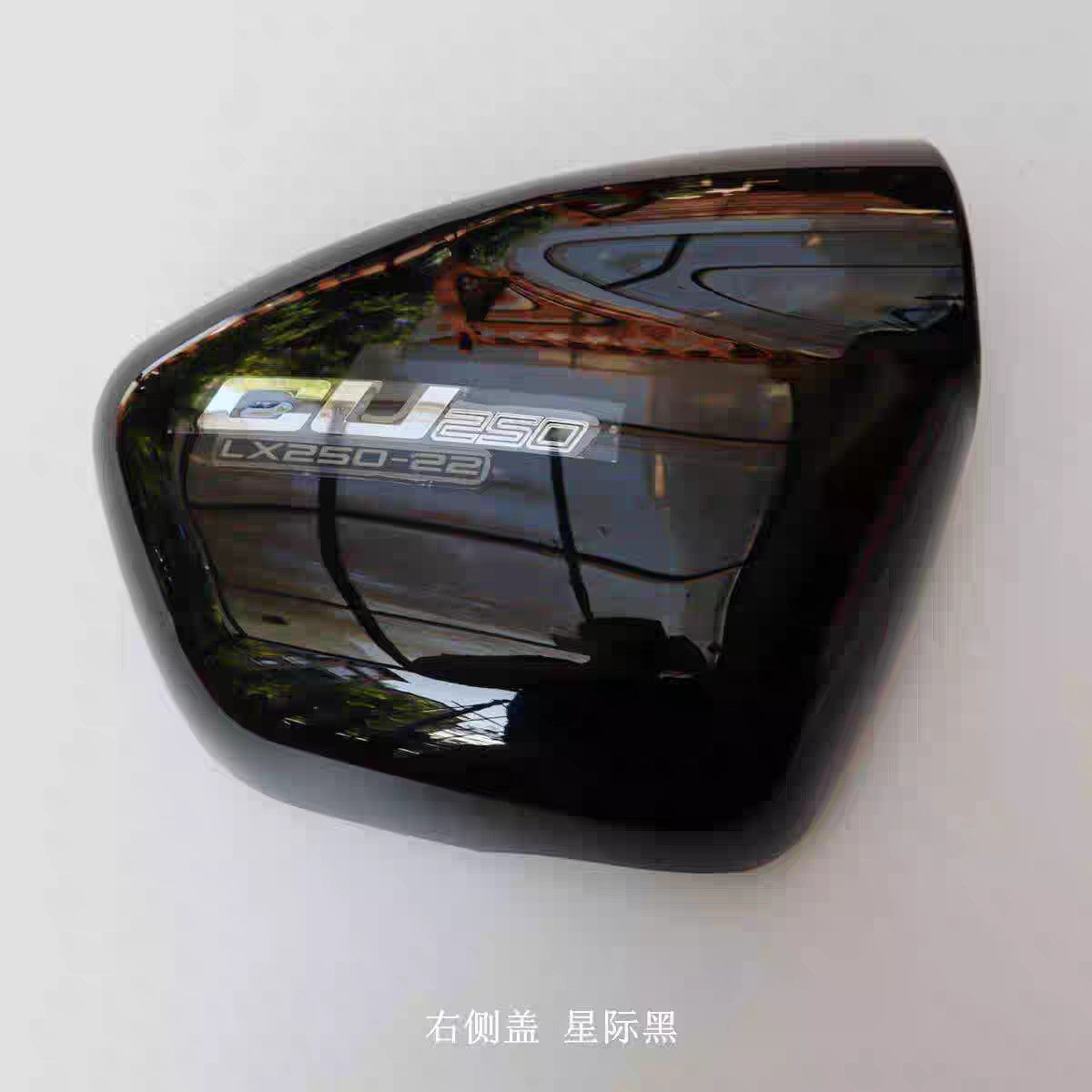 无极新款上市优质精品CU250左右侧盖摩托车边板边盖LX250-22侧板