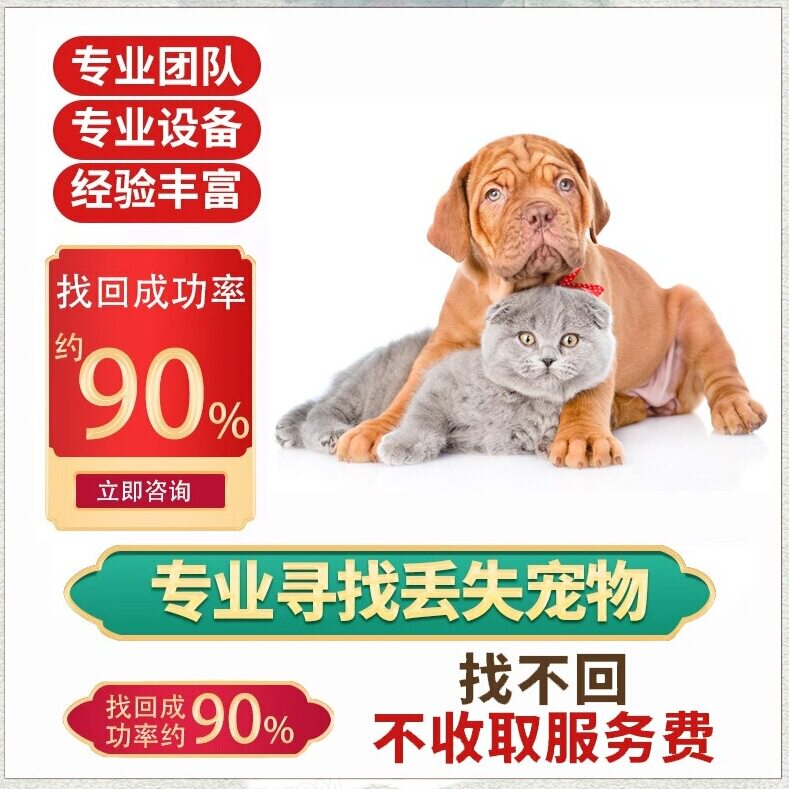全国上门找猫团队 专业寻宠物侦探 猫丢了怎么  找狗团队找鸟鹦鹉
