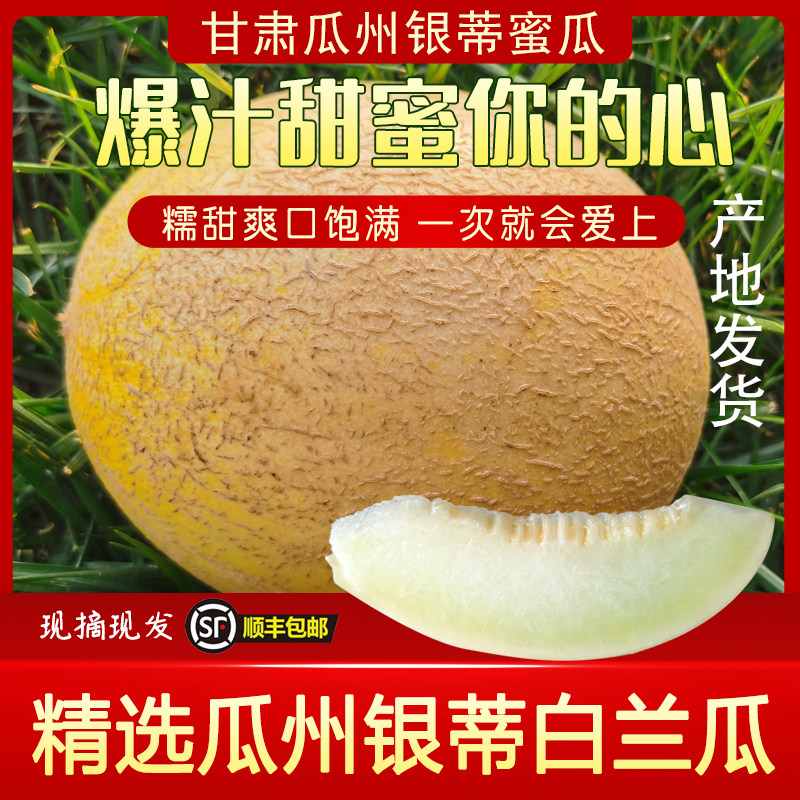 甘肃西北特产瓜州蜜瓜白兰瓜网纹瓜银蒂甜蜜多汁现摘先发顺丰包邮