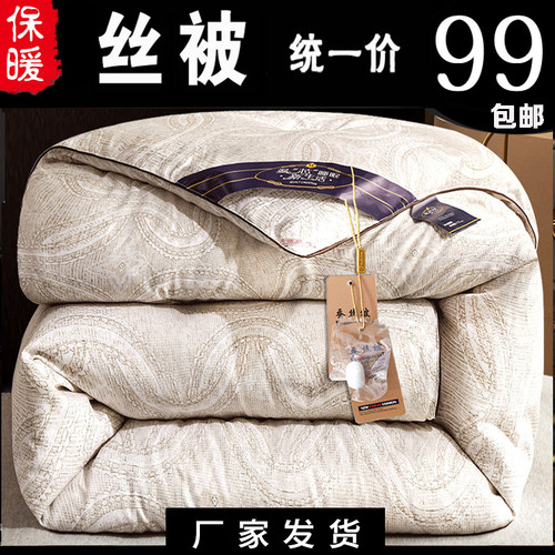 加厚保暖丝棉被芯冬天双人10斤