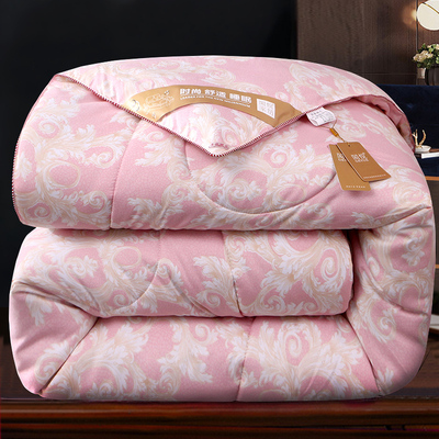 加厚被子丝棉被芯太空春秋单人学生宿舍双人冬天保暖冬被10斤冬季