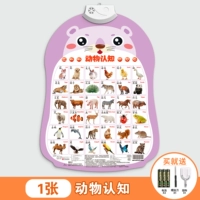 Животное познание