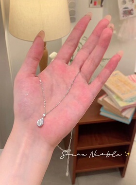 925银项链2024新款爆款轻奢小众