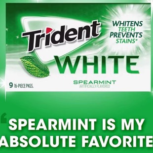 【美白牙齿】美国原装Trident White系列留兰香薄荷无糖口香糖