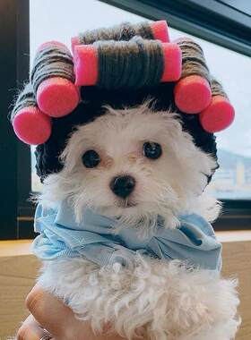 猫狗卷发烫发头套帽子