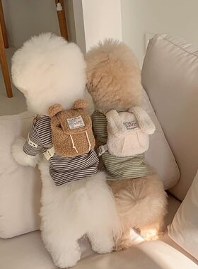 小狗狗猫咪外出宠物自背包书包捡屎包零食包泰迪小型犬胸背牵引绳