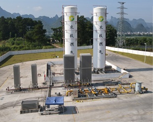 调压站 汽化器 增压器 燃气 LNG气化设备 煤改气 空温式 LNG气化站